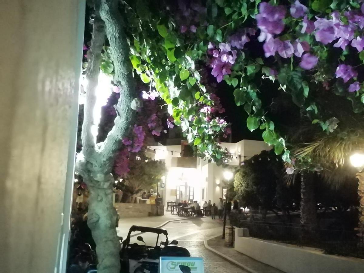 الشقق الفندقية ناوسافي  Sunloft-Paros المظهر الخارجي الصورة
