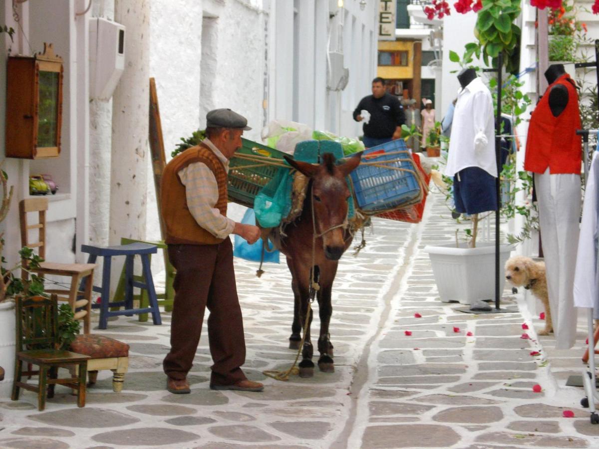 الشقق الفندقية ناوسافي  Sunloft-Paros المظهر الخارجي الصورة
