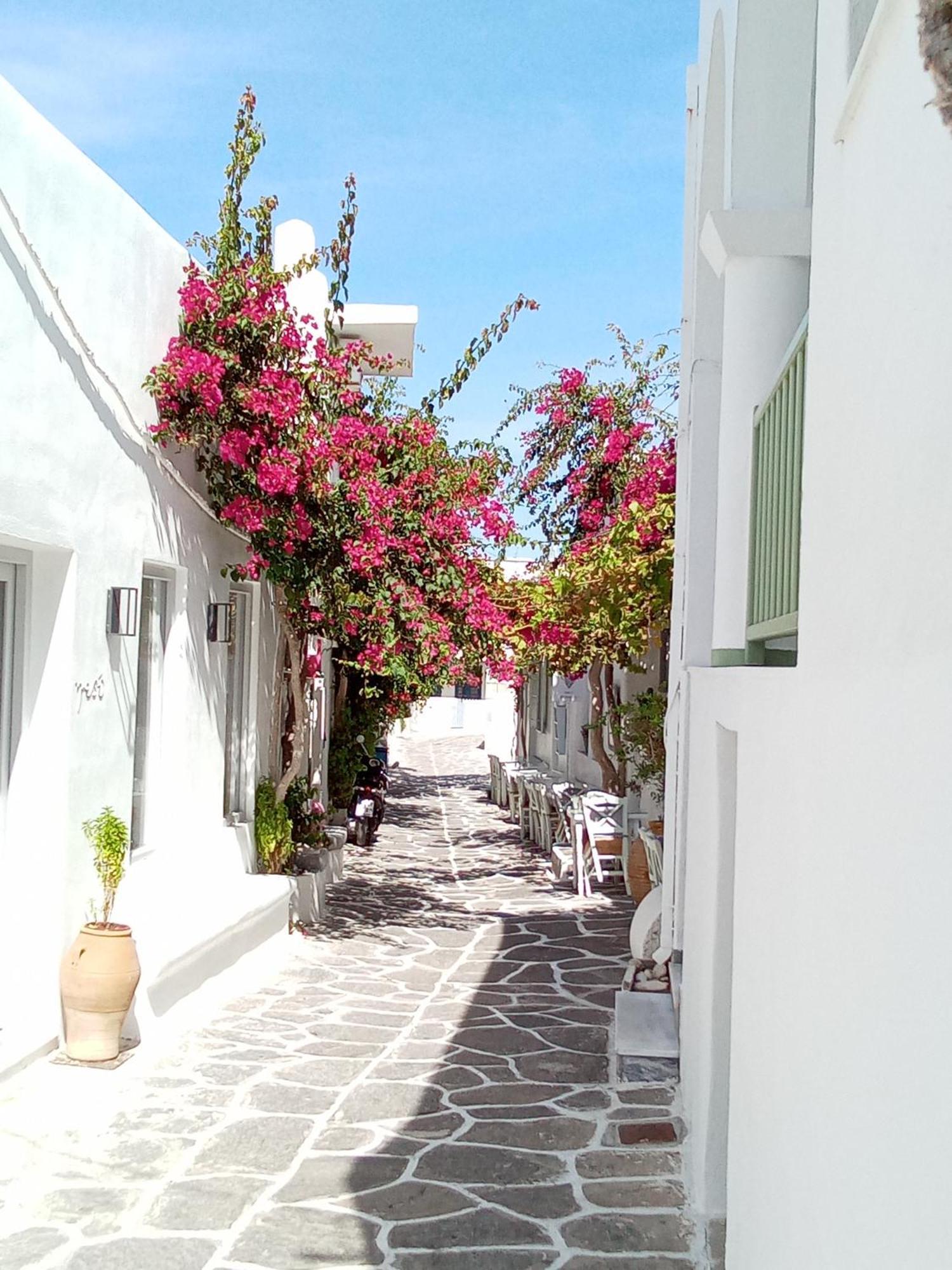 الشقق الفندقية ناوسافي  Sunloft-Paros المظهر الخارجي الصورة